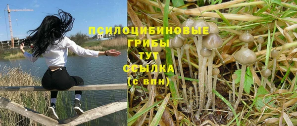 ALPHA PVP Абдулино